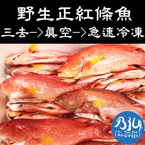 紅鐵甲魚價格